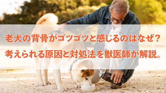 ブログ3