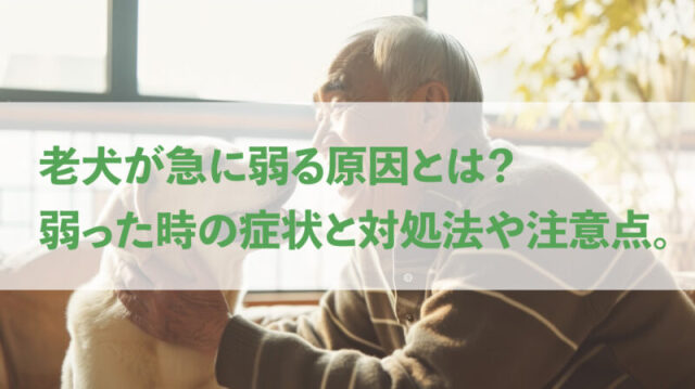 ブログ2