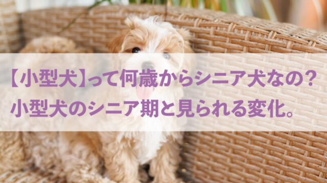 ブログ1
